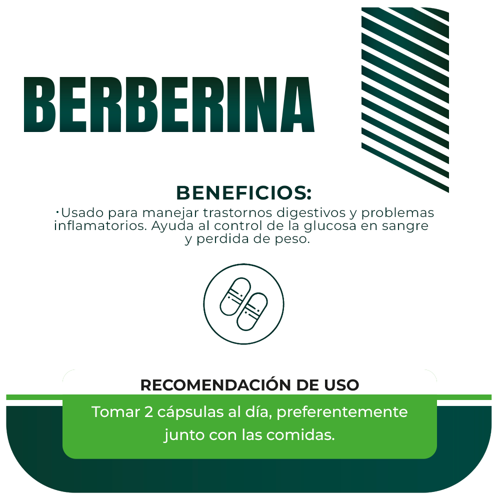 Berberina 500mg 90 cápsulas