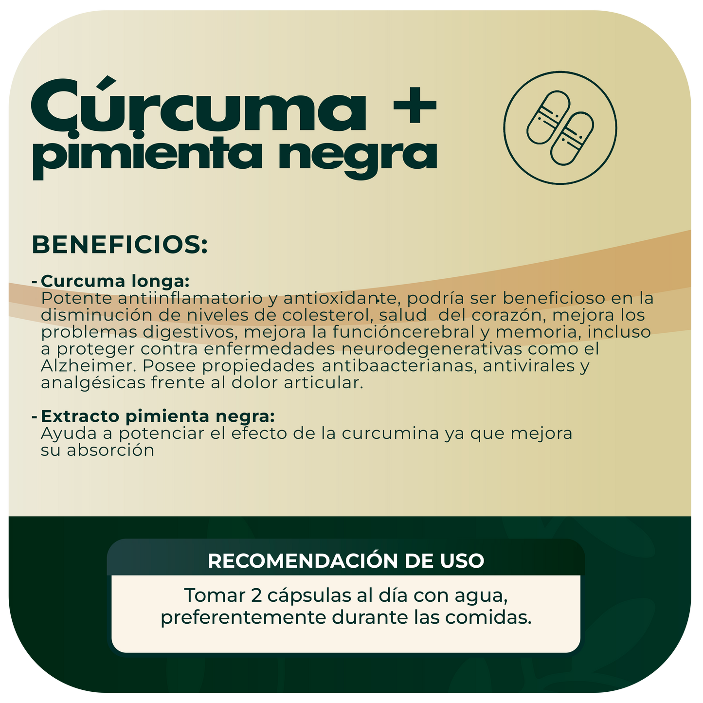 Cúrcuma + Pimienta Negra 500mg 90 cápsulas