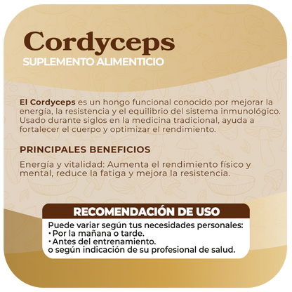 Cordyceps 500mg 60 Cápsulas
