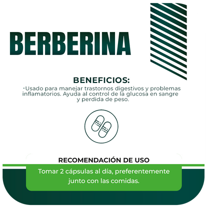 Berberina 500mg 90 cápsulas