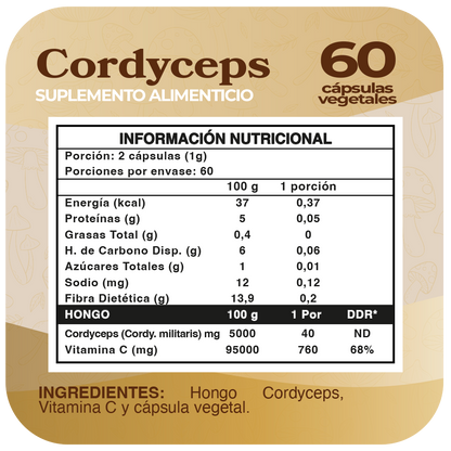 Cordyceps 500mg 60 Cápsulas